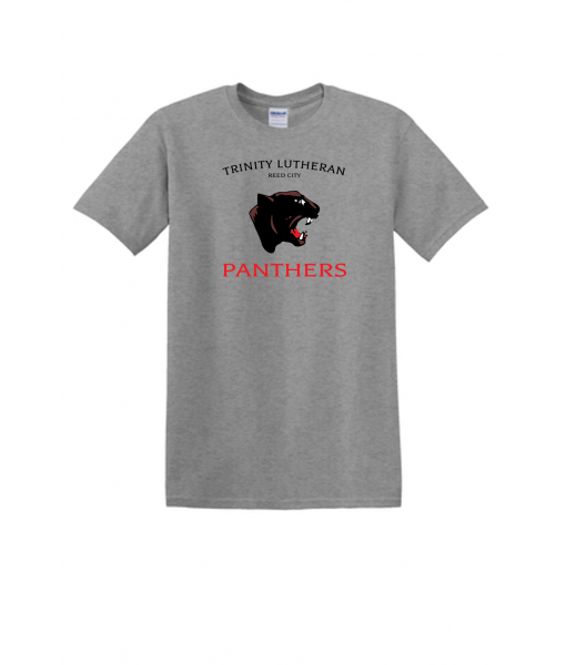 Gildan - Heavy Cotton 100% Cotton T-Shirt.  5000