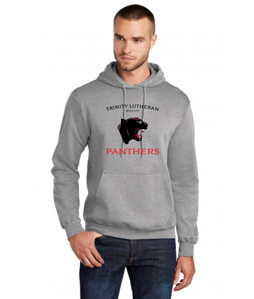 Port & Company - Core Fleece Pullover Hooded Sweatshirt. PC78H